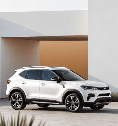 Y's Japan Trade Co. Ltd.